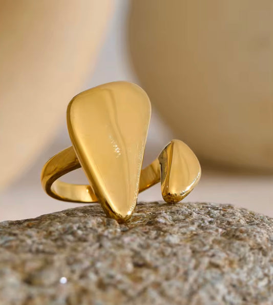 Anello "Duale"